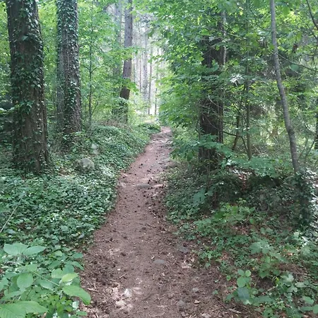 Daire Bella Si Relax *